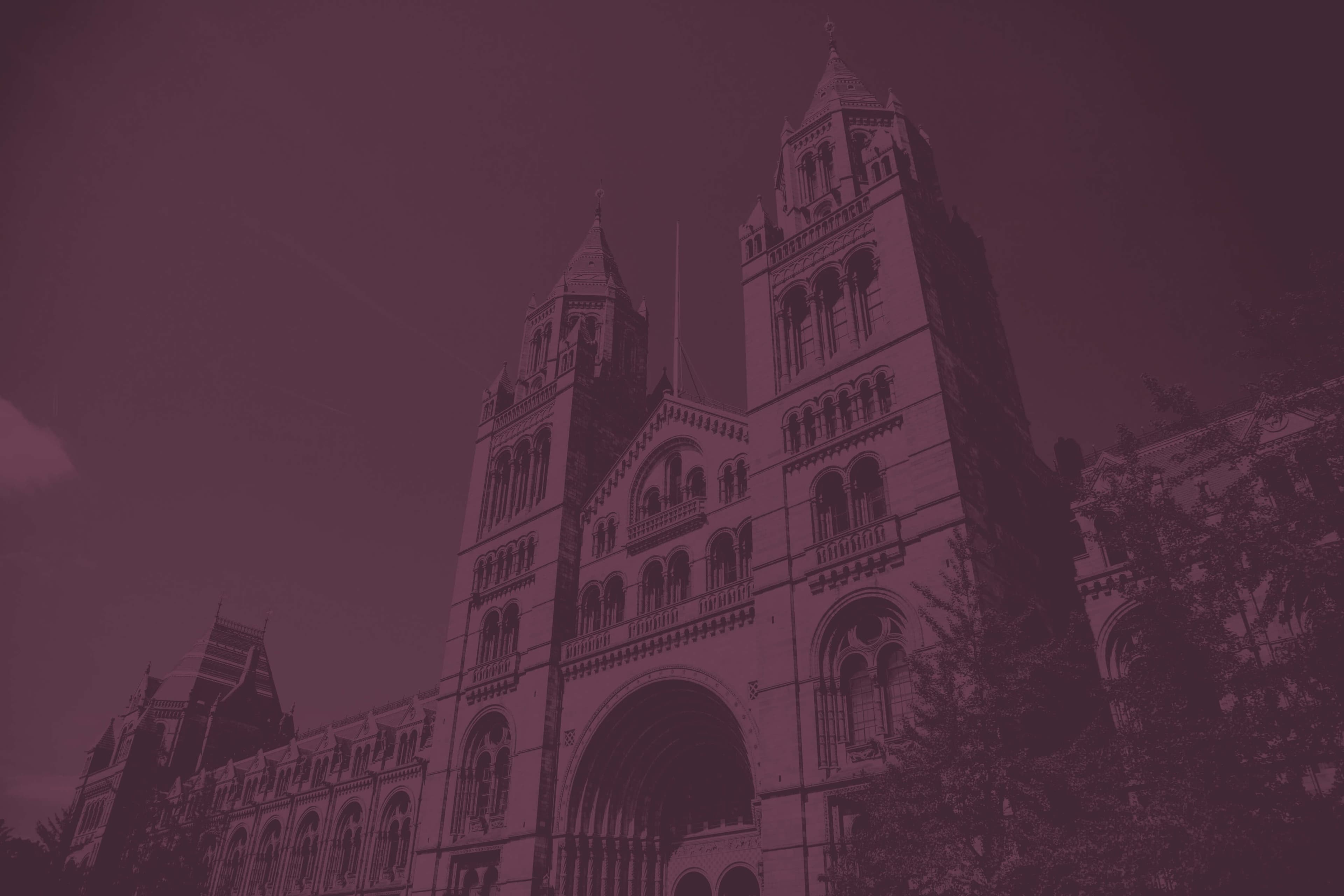 Arcus Advisory Hero Image